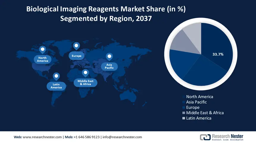 Biological Imaging Reagents Market share